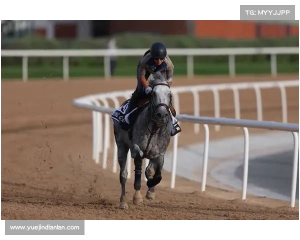 迪拜国际杯赛事(迪拜国际杯赛事2024盛大开幕全球选手齐聚中东角逐最高荣誉)