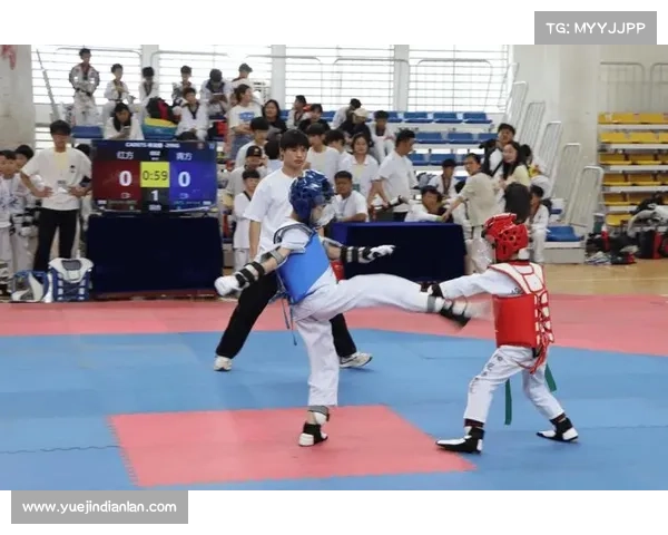 青少年体育锦标赛